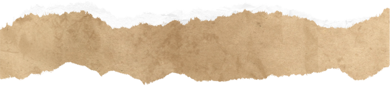 Brown Torn Paper